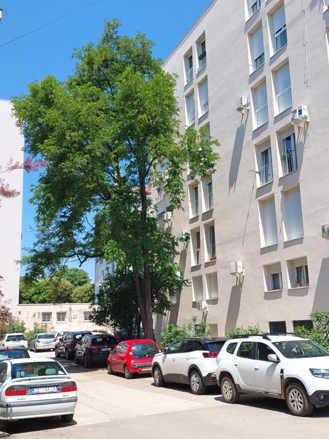 Marinero Apartman Zára